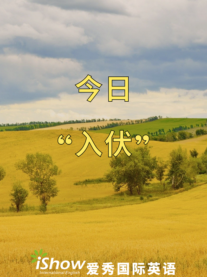 入伏