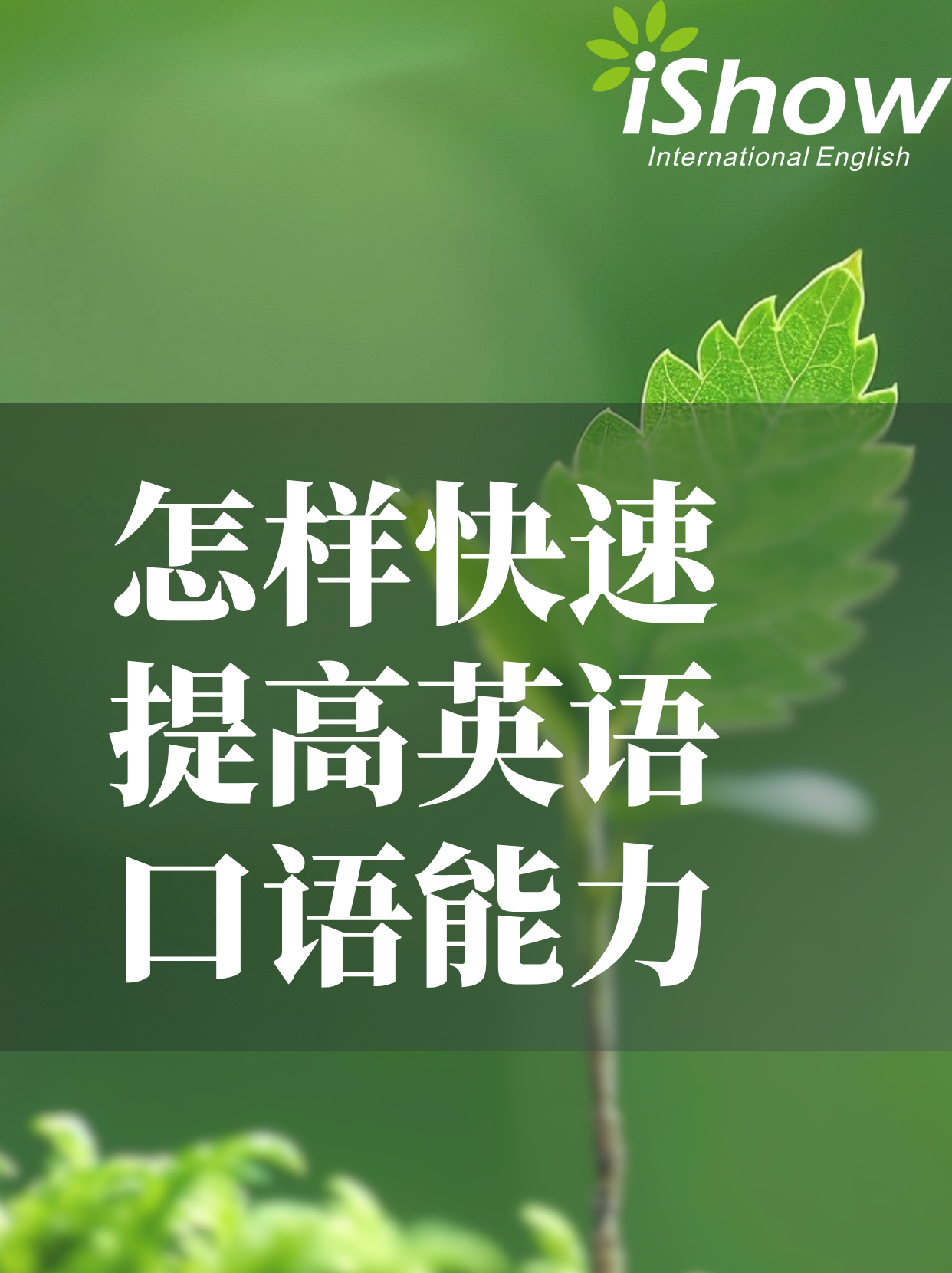 快速提高英语口语